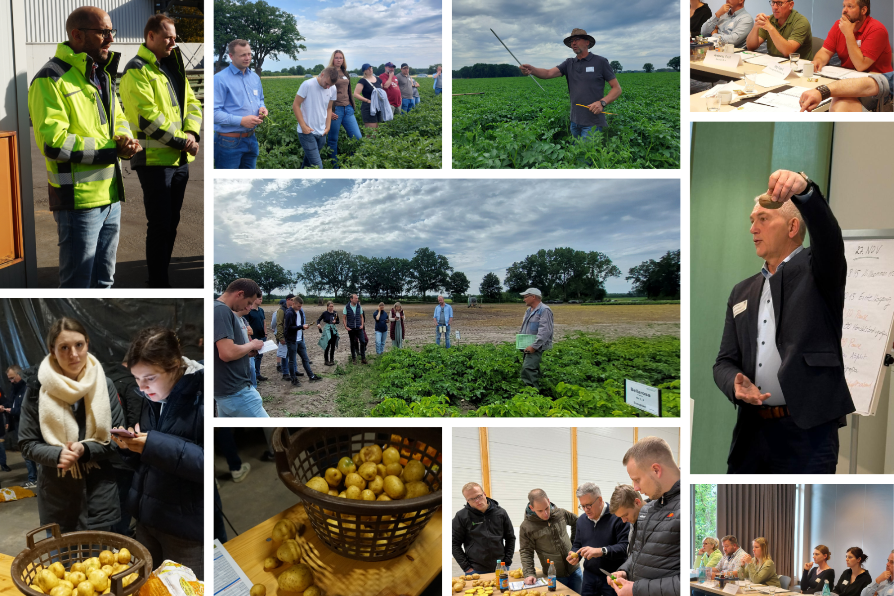 Infobild Fachkraft Kartoffel