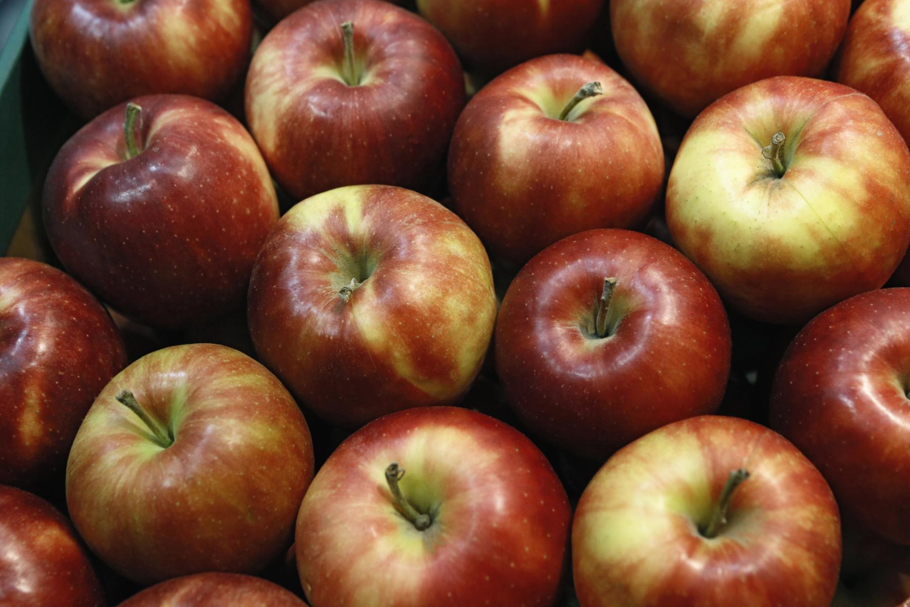Äpfel FL