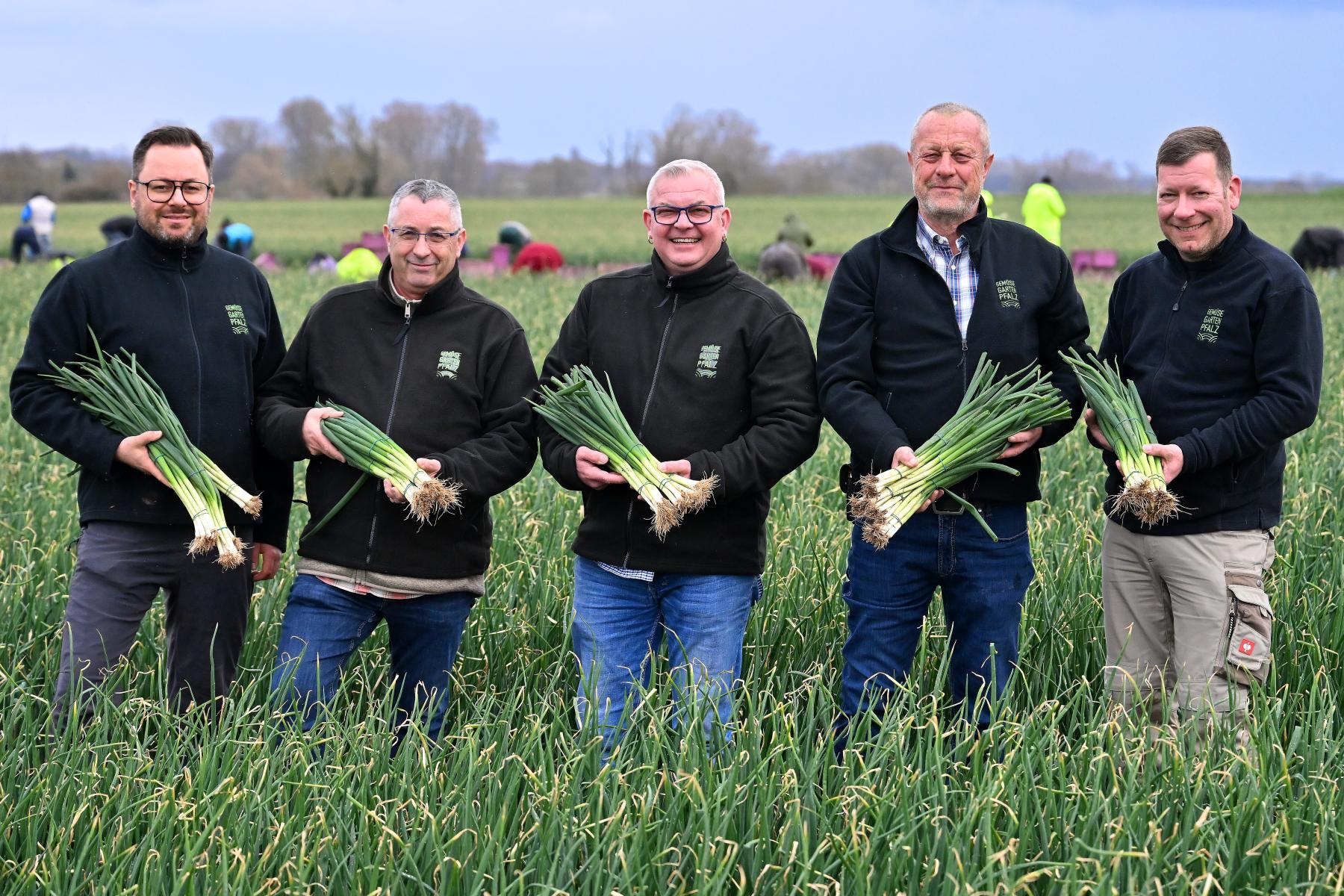 Team bei der Bundzwiebel-Ernte
