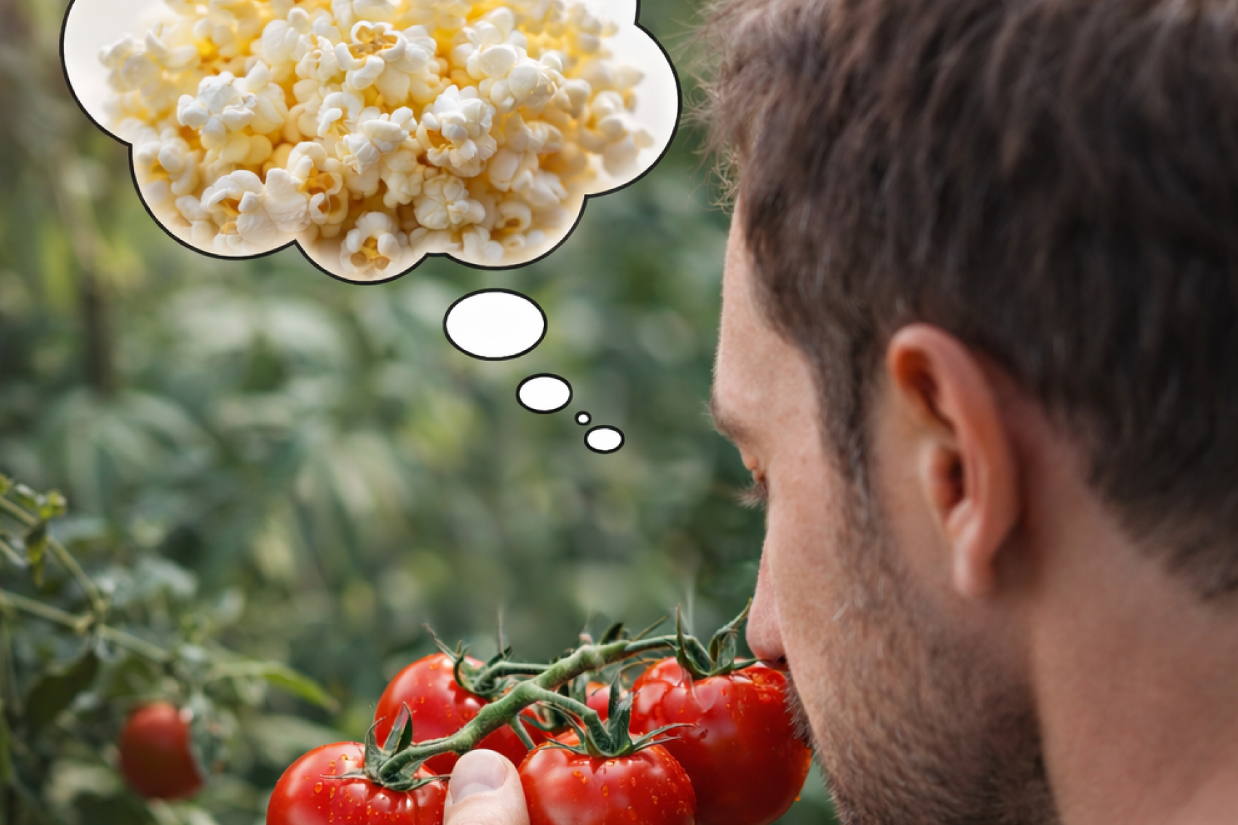 Mann riecht an Tomaten und denkt an Popcorn