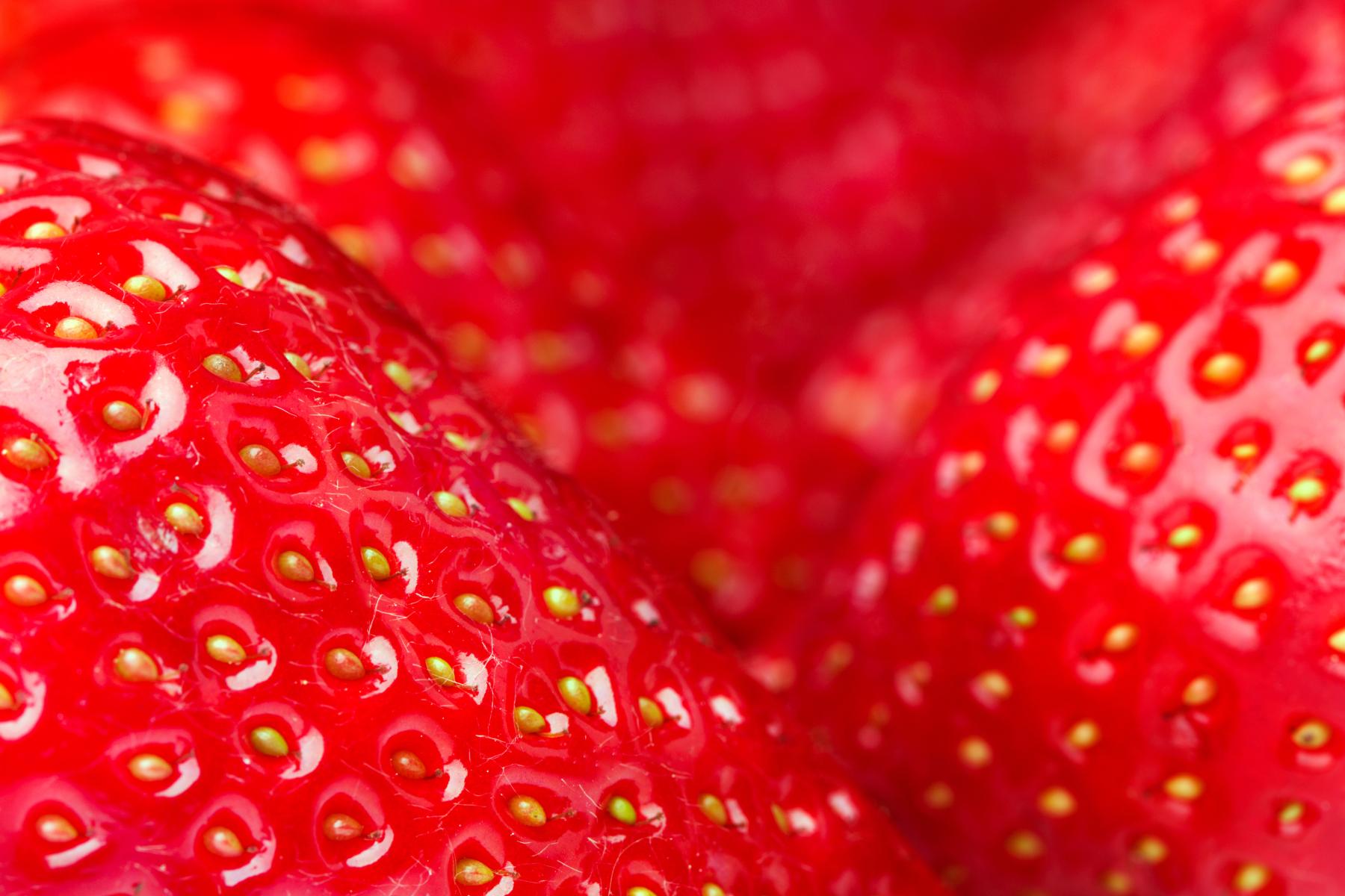 Erdbeeren