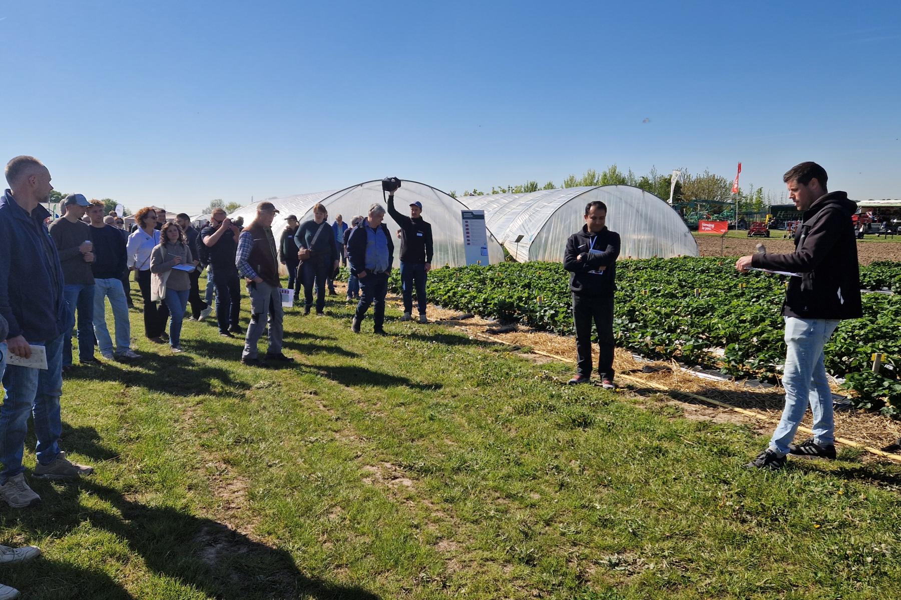 Menschen auf einem Feld mit Tunnelproduktion