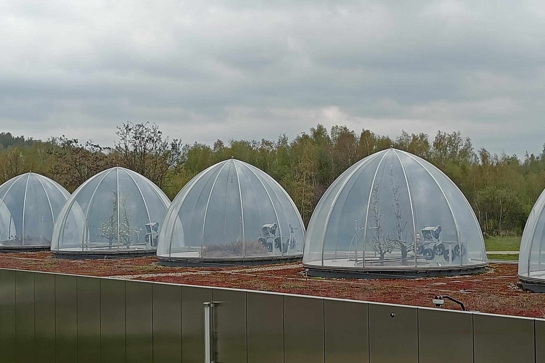 In transparenten, kuppelförmigen Systemen, sogenannte Ecotrons, können verschiedene Klimaszenarien nachgebildet werden. 