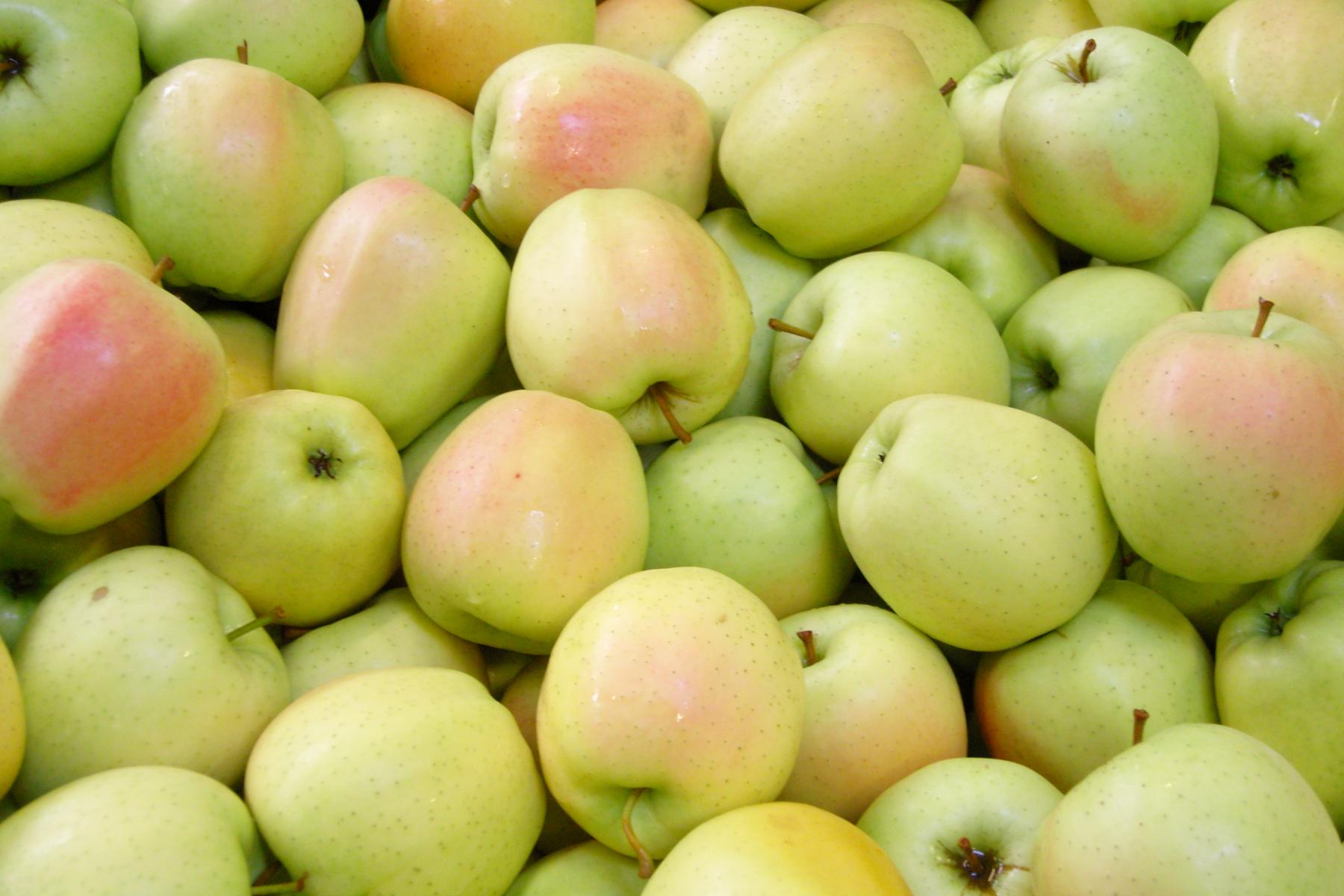 Viele Äpfel der Sorte Golden Delicious