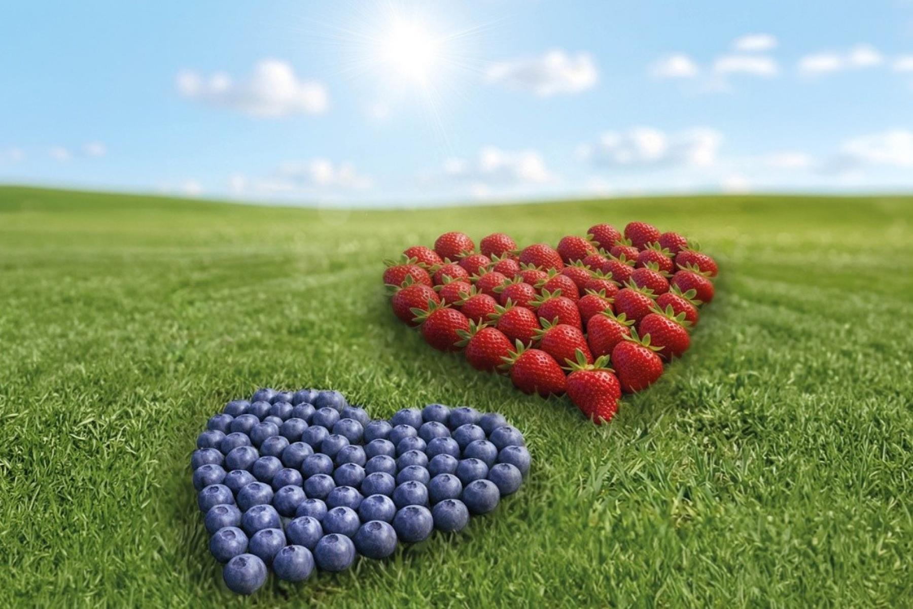 Erdbeeren und Himbeeren in Herzform auf Rasen