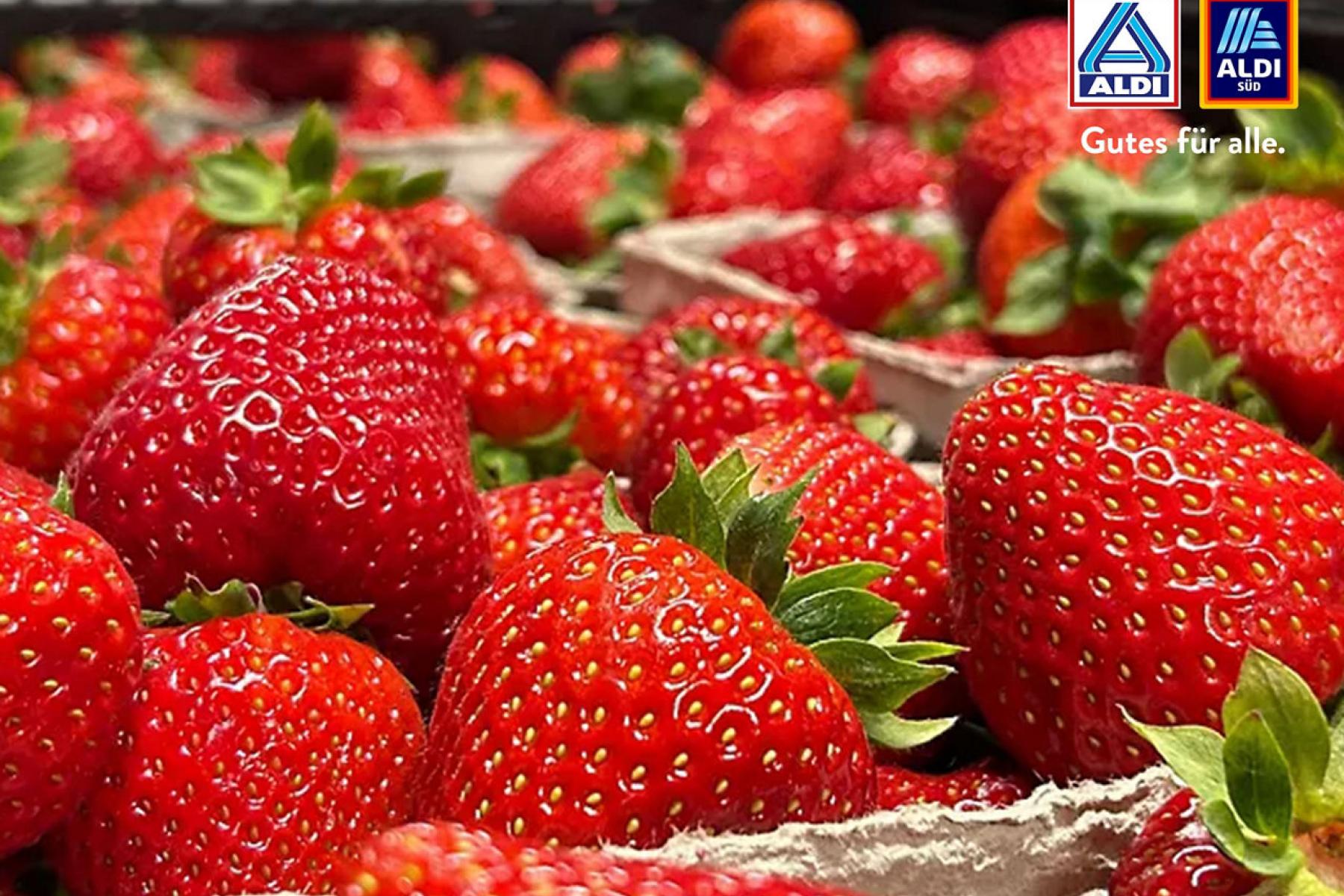 Erdbeeren