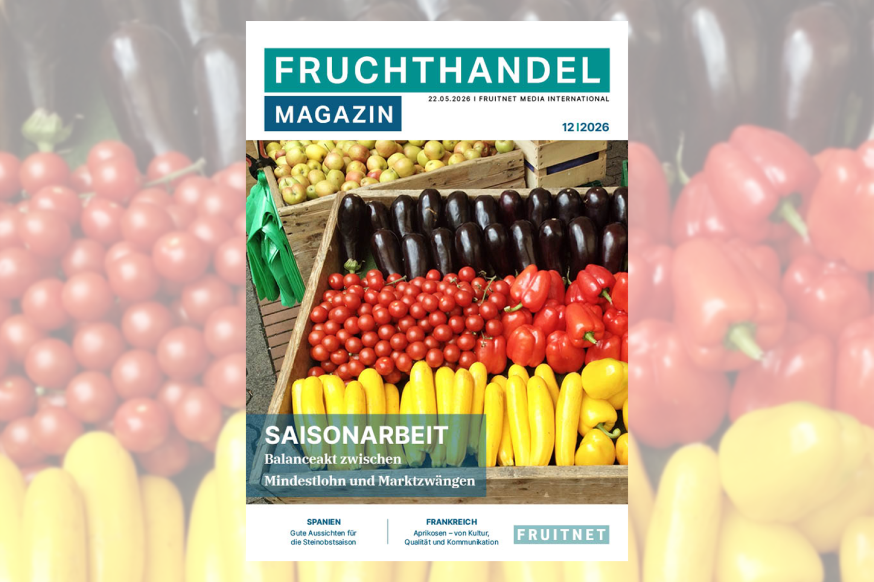 Titelbild Ausgabe 12-2026