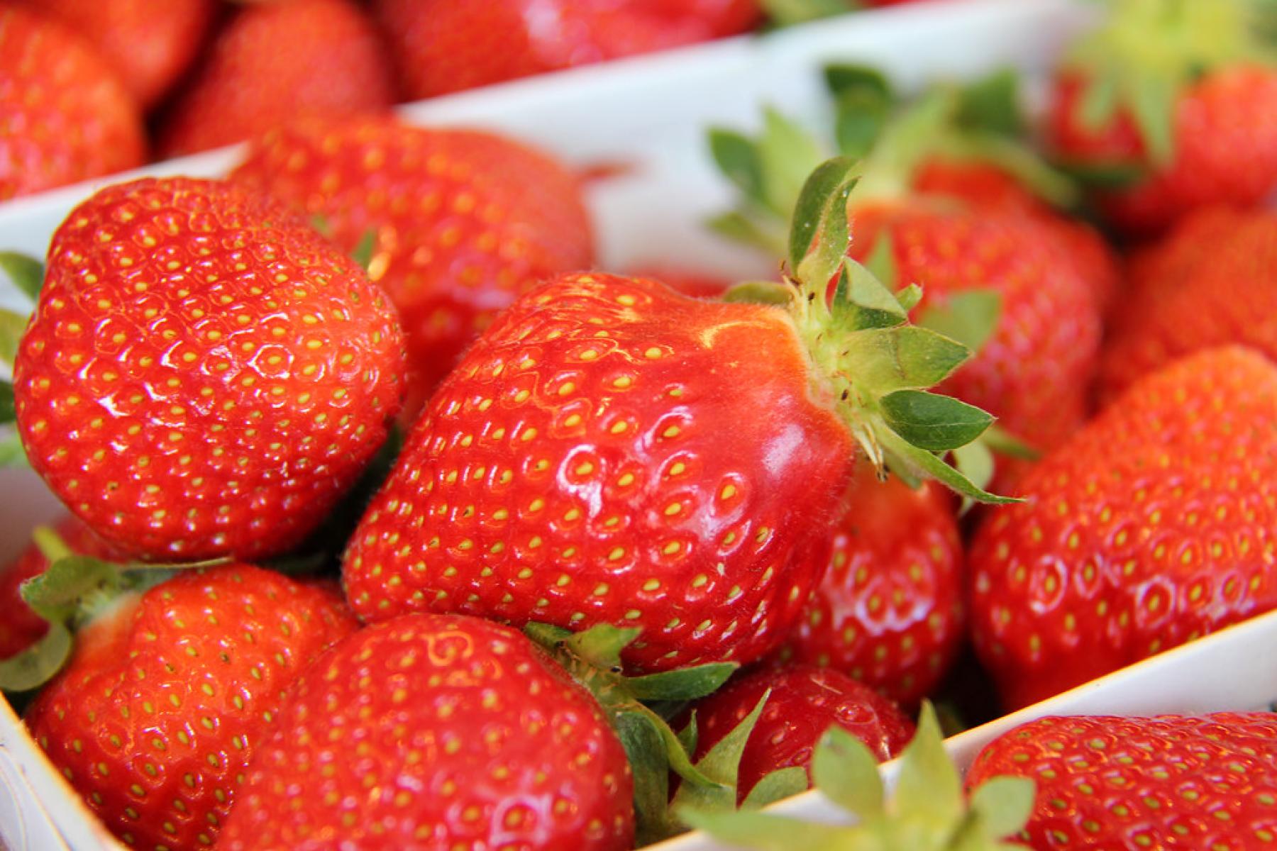 Erdbeeren