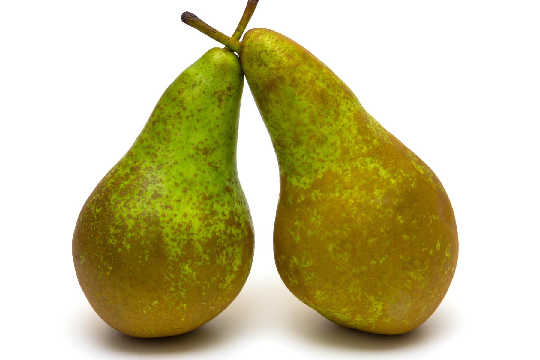 zwei Birnen, die die Stengel kreuzen