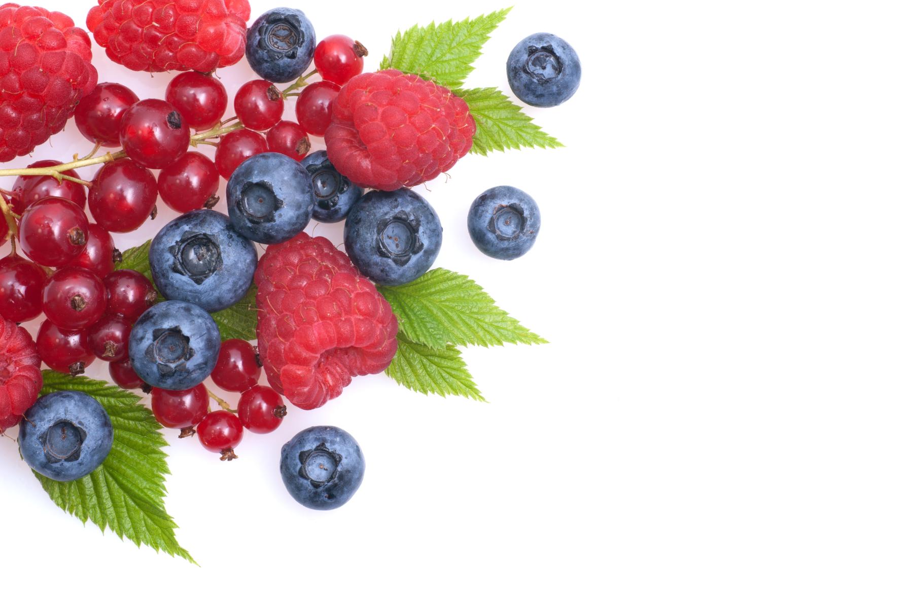 Heidelbeeren, Himbeeren und Rote Johannisbeeren
