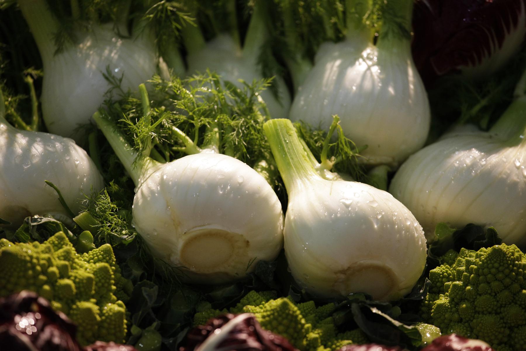 Fenchel