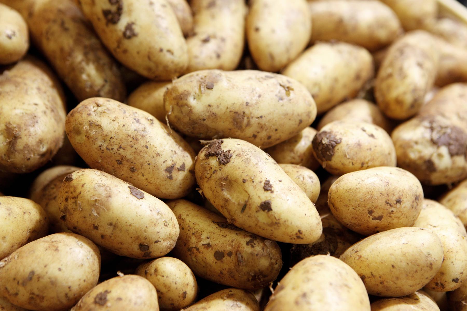Kartoffeln