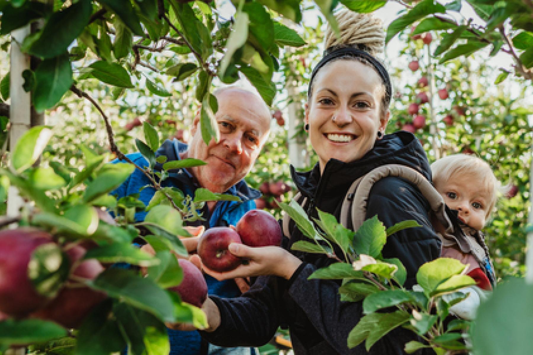 Frau mit Kleinkind und älterem Mann in Apfelplantage