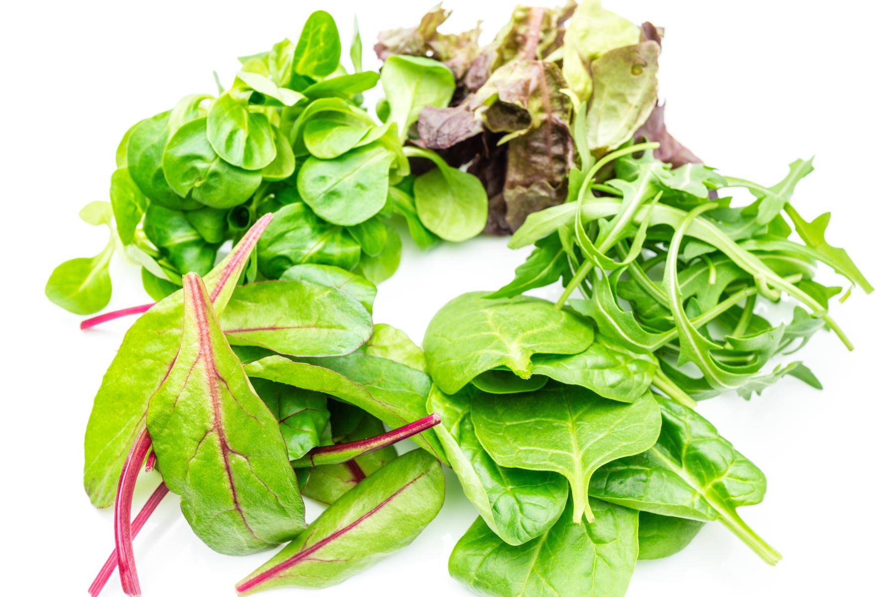 diverse Salatsorten