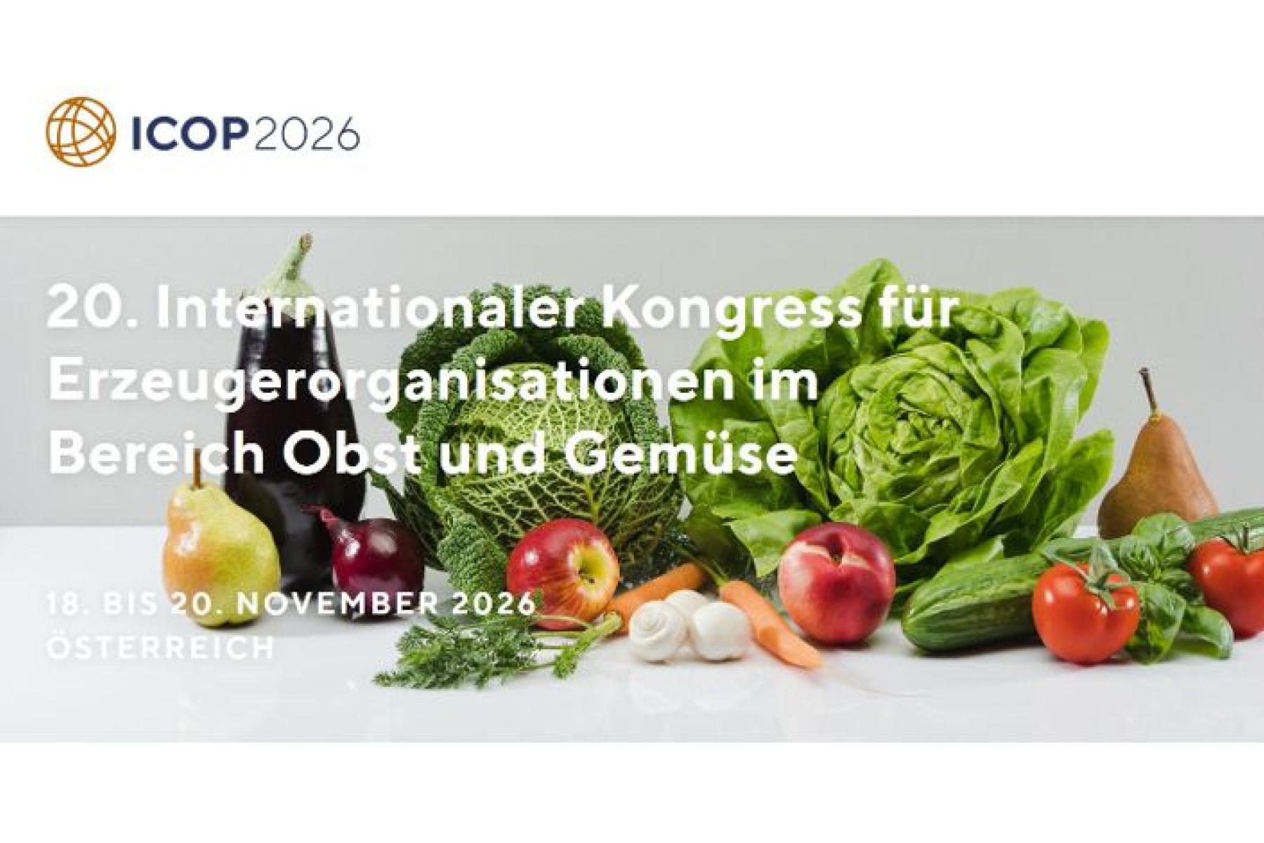icop banner mit infos