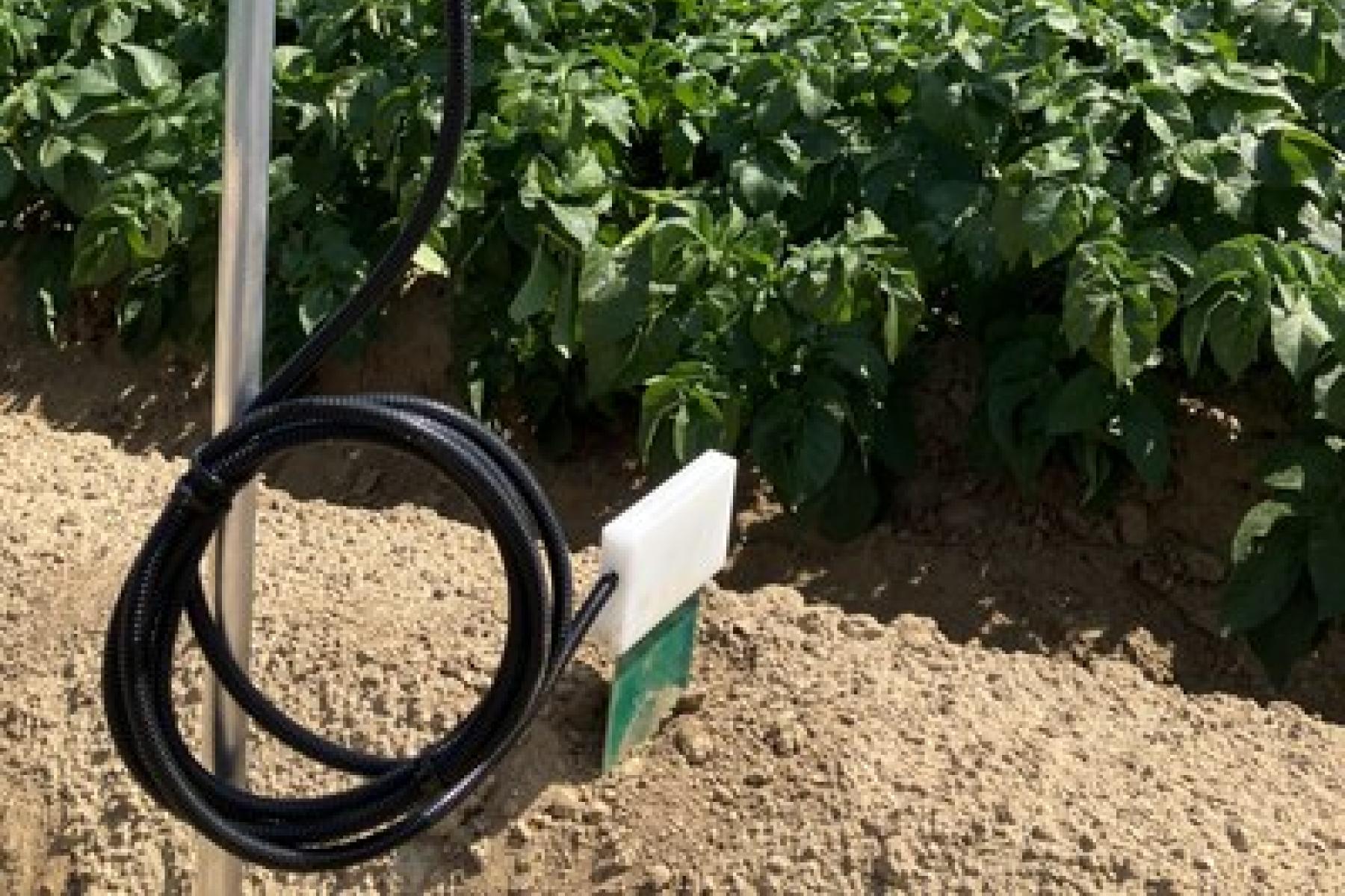 Sensor misst Bodenfeuchte