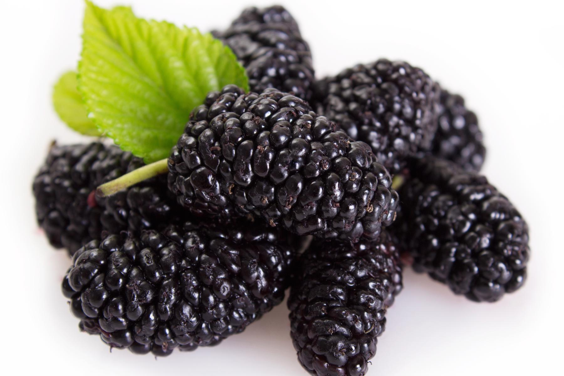 Brombeeren