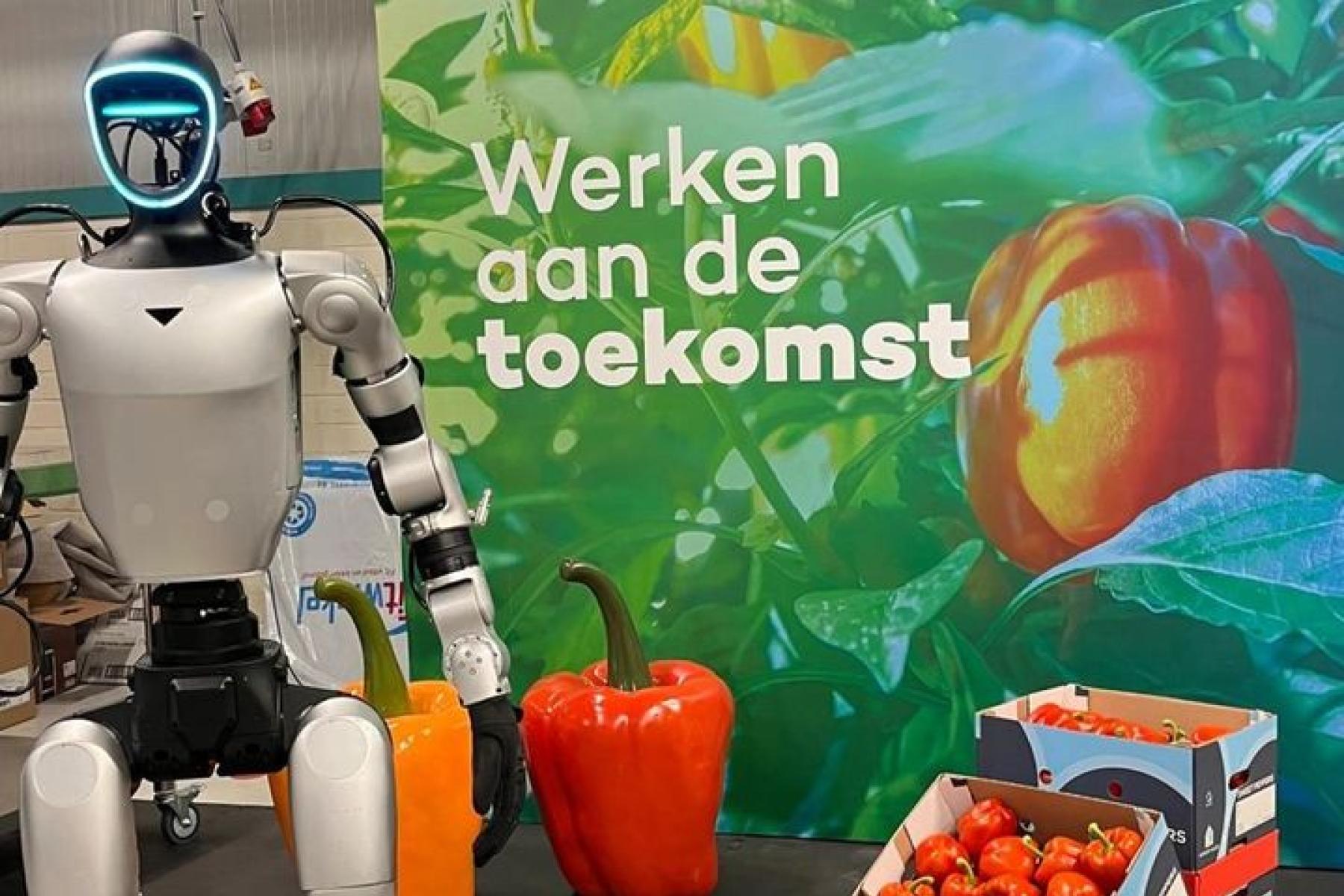 Humanoider Roboter von Harvest House