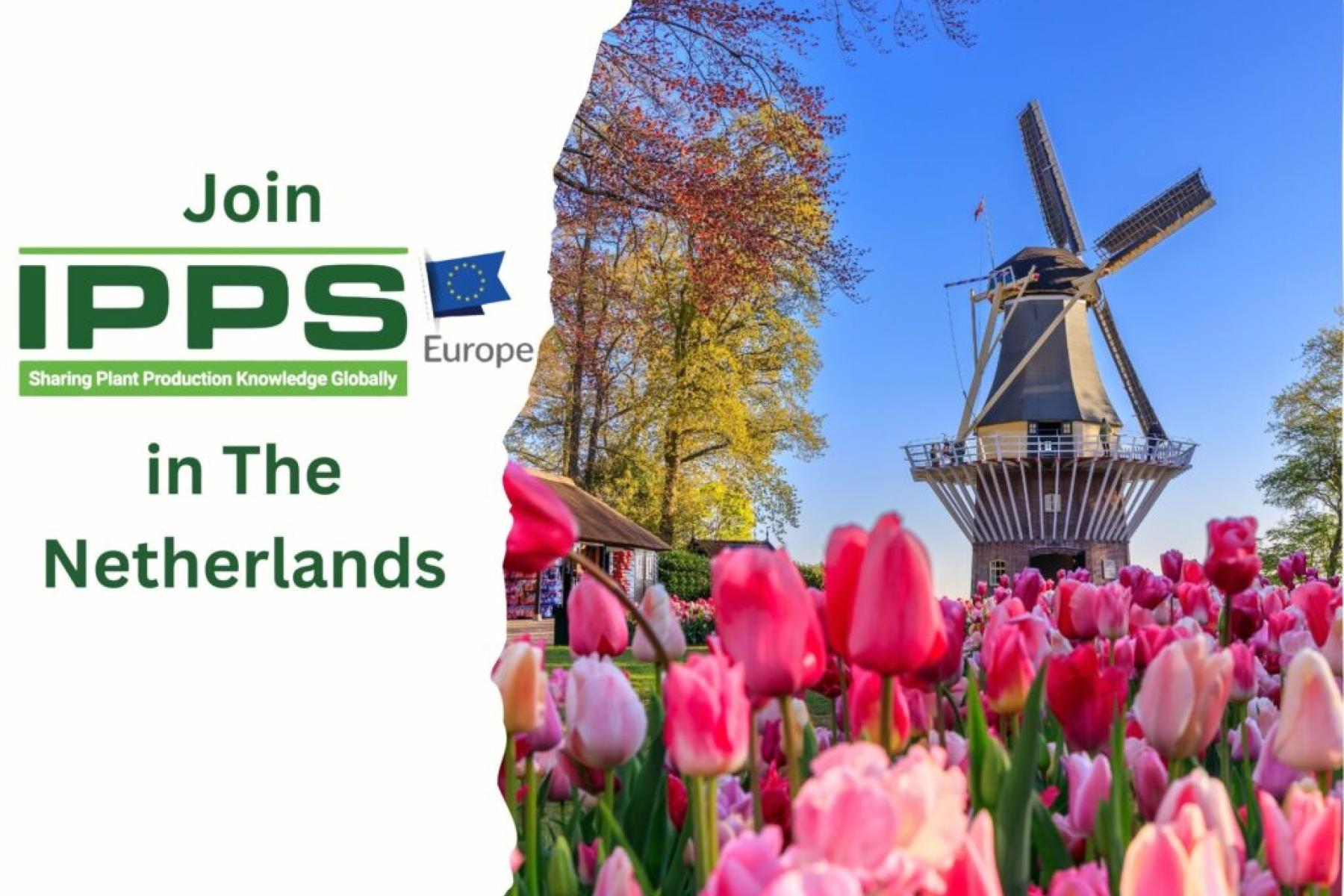 Logo der IPPS Konferenz in den Niederlanden