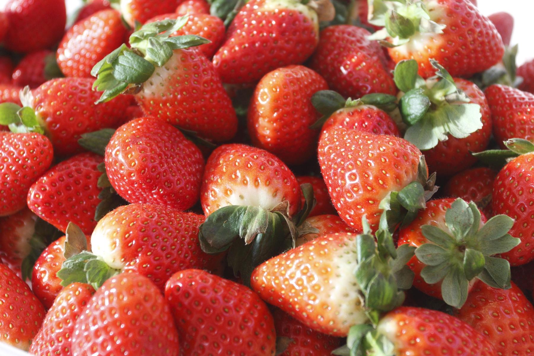 Erdbeeren