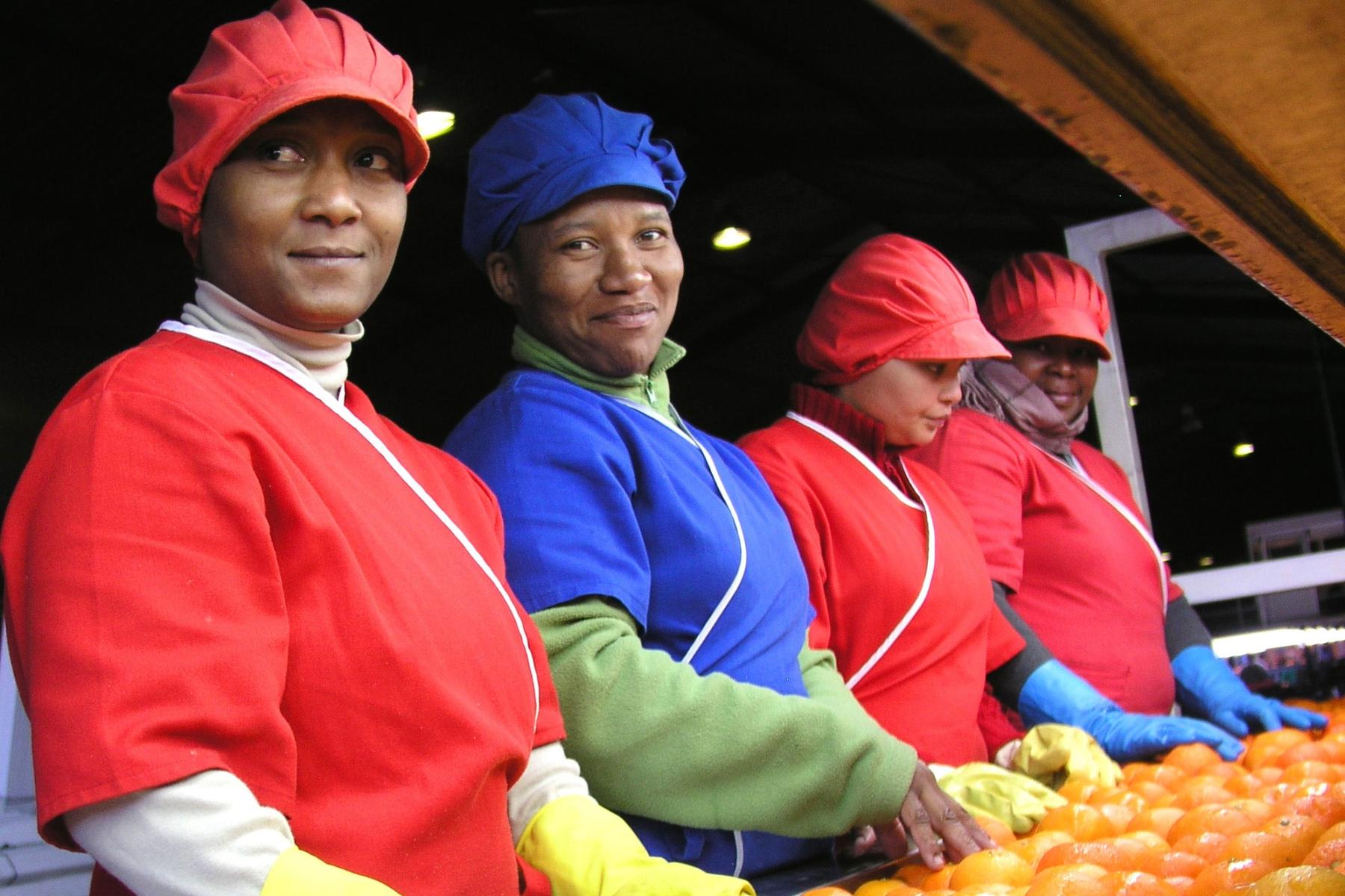 Südafrika Packline Orangen