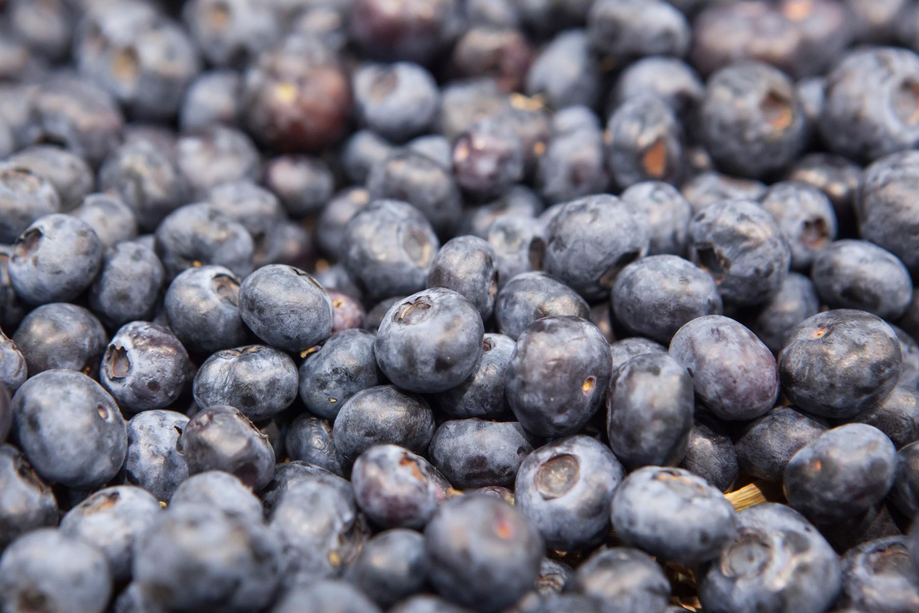 Heidelbeeren