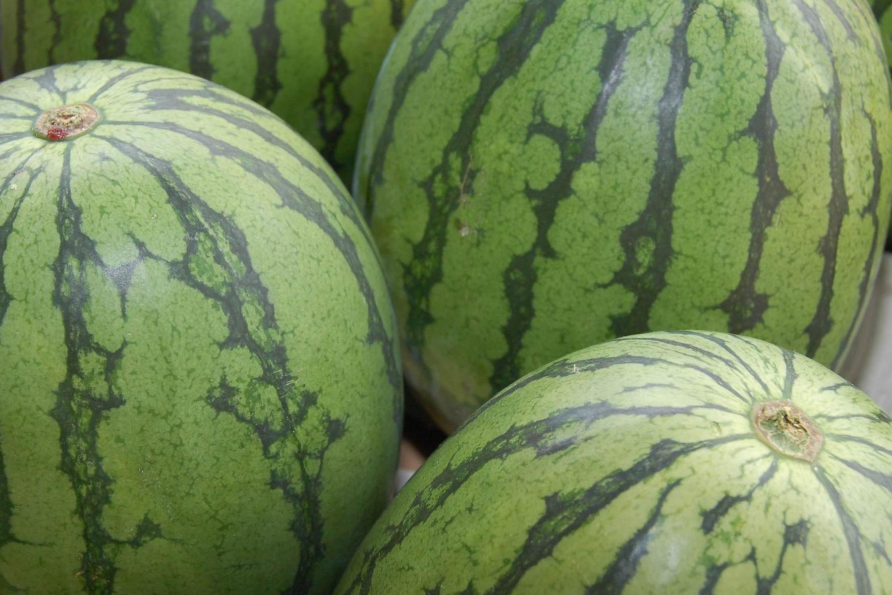 Wassermelonen