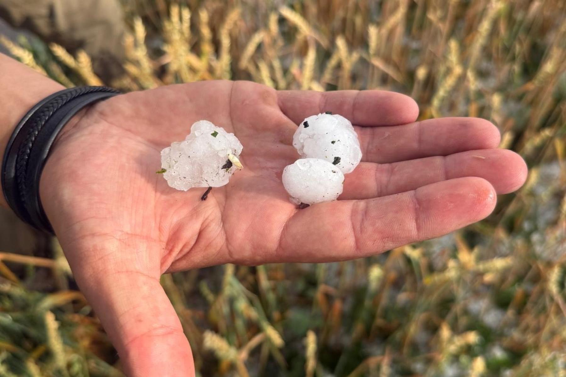 Tischtennisballgroße Hagelkörner aus Sommergewitter in Deutschland