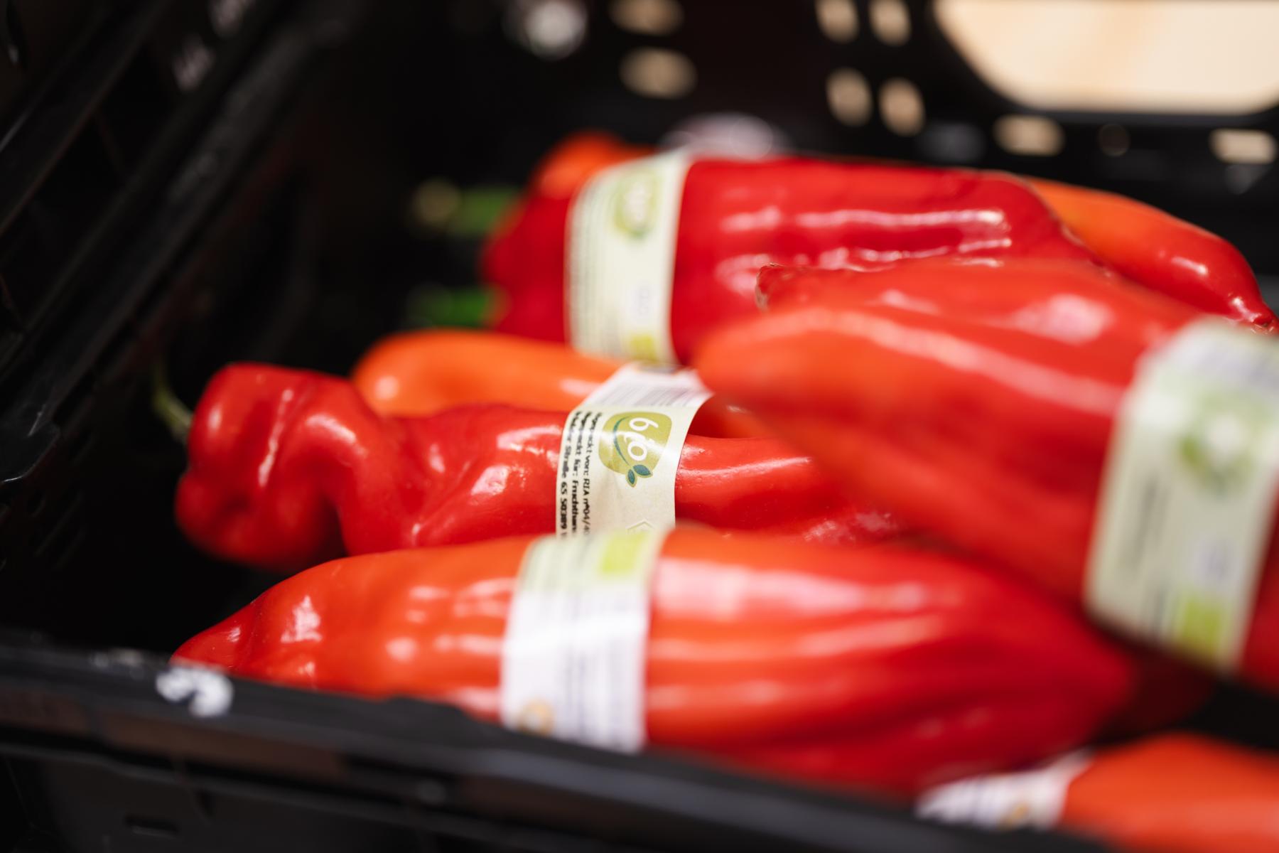 Mehrere rote Paprika nebeneinander 