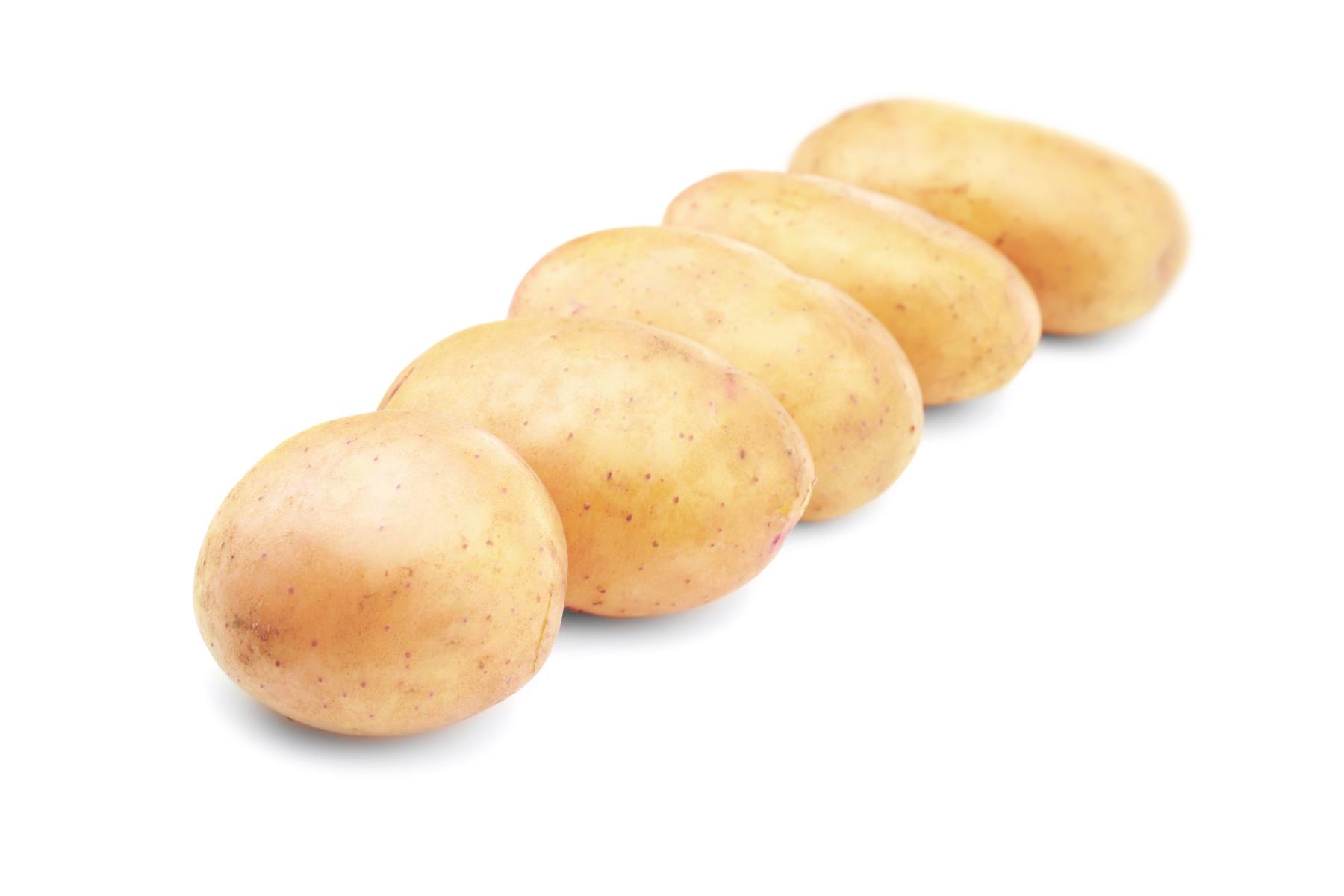 Kartoffeln in einer Reihe