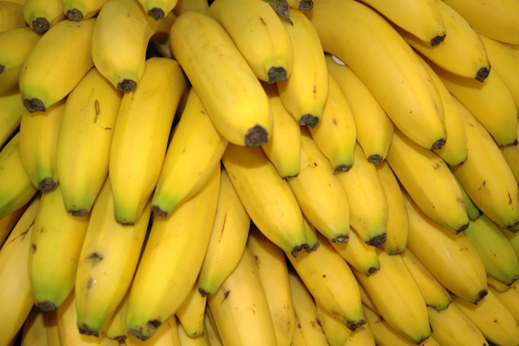 Viele gelbe Bananen zusammen. 