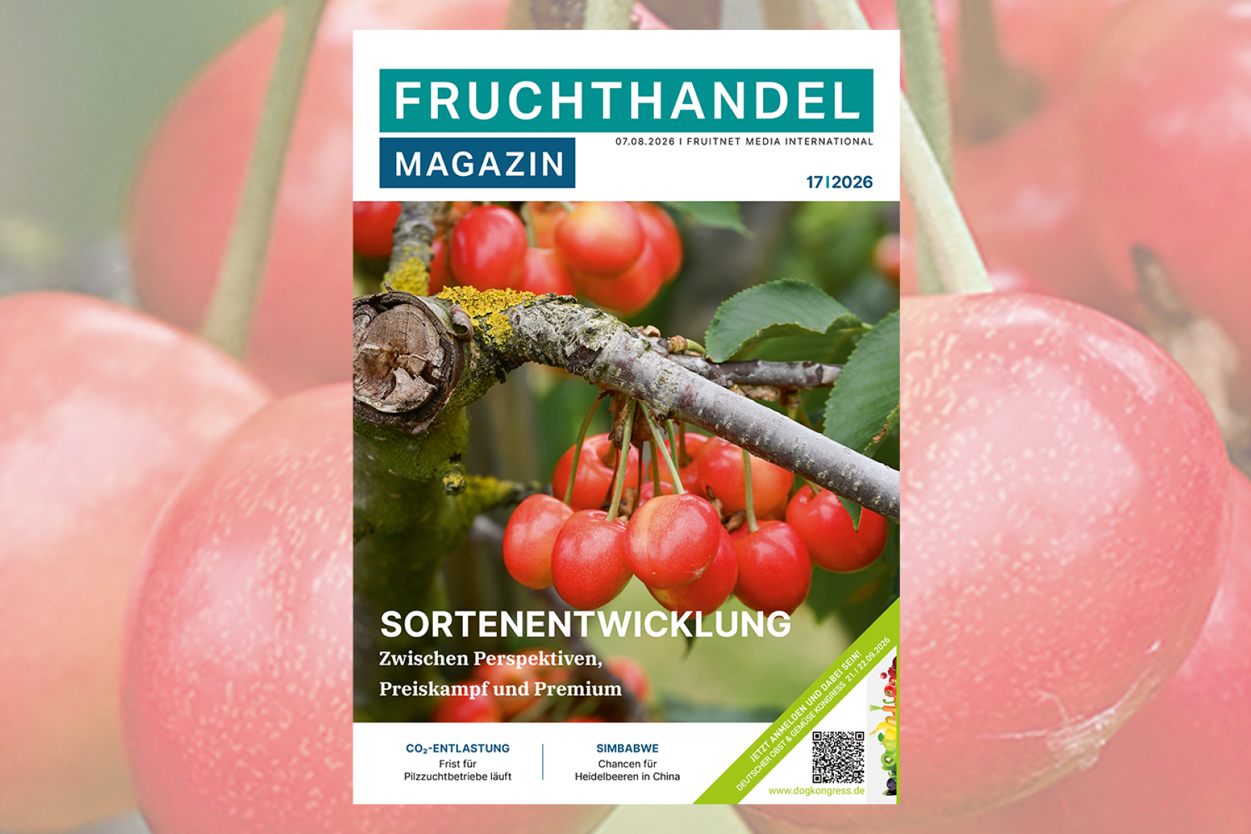 Cover Ausgabe 17-2026