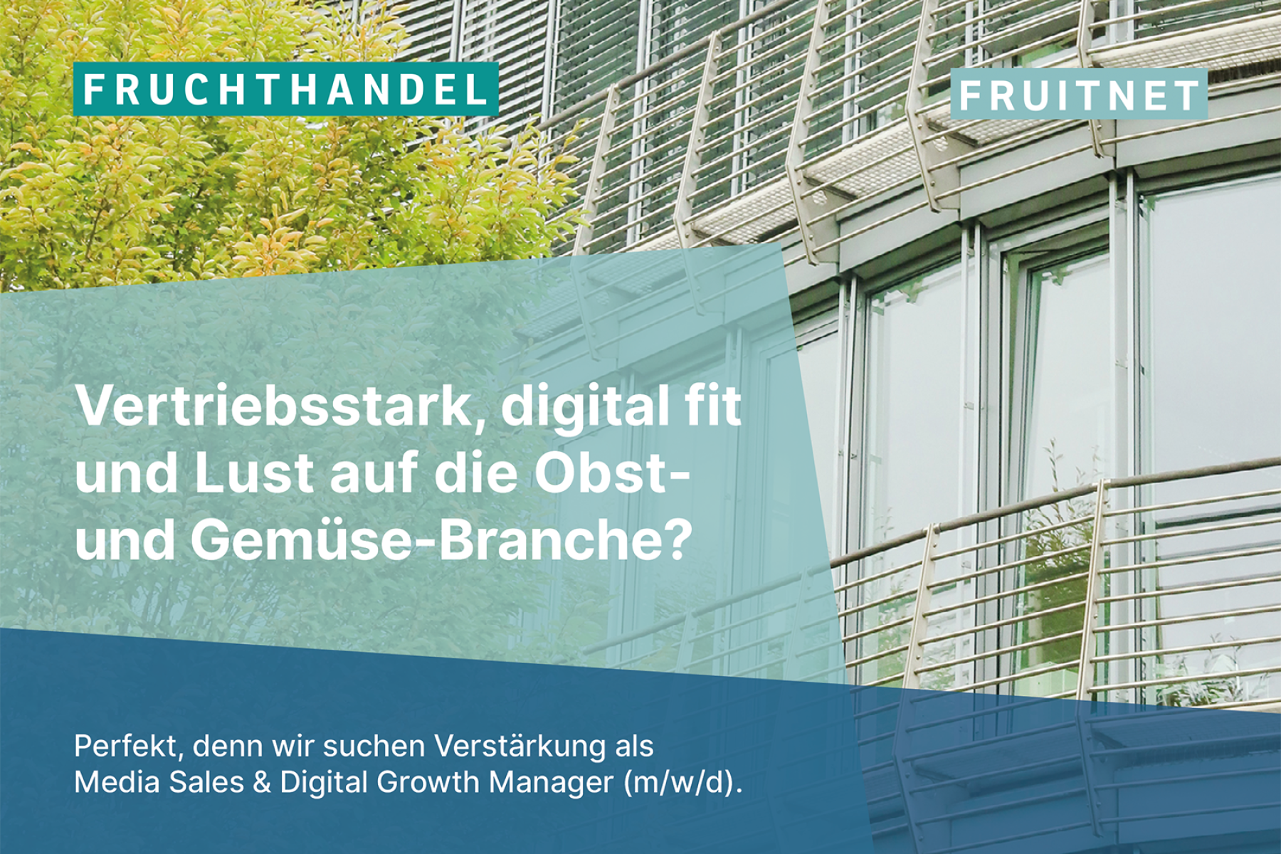 Fruchthandel Magazin Stellenanzeige Sales August 2026