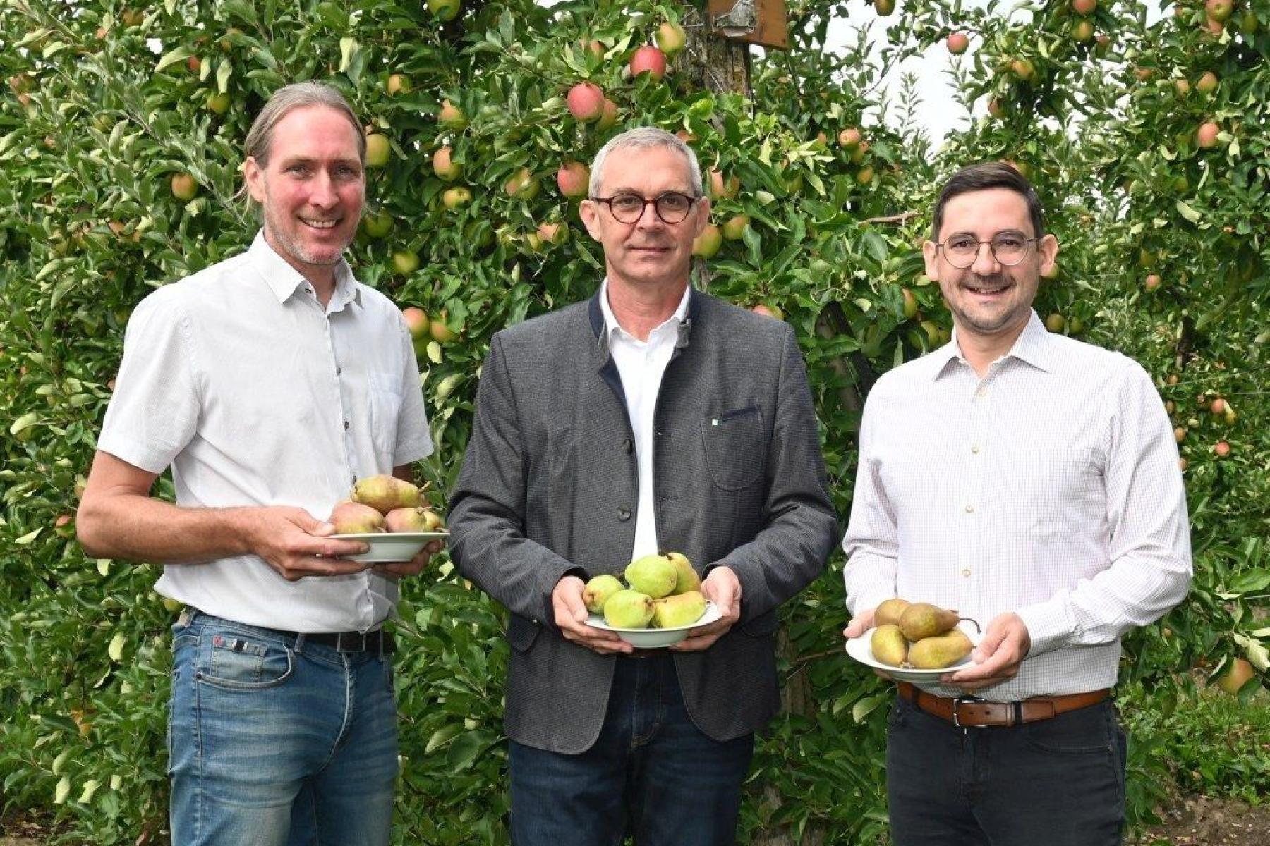 Drei Vertreter des oberösterreichischen Obstbaus stehen mit Schalen voller Birnen in einer Apfelanlage.