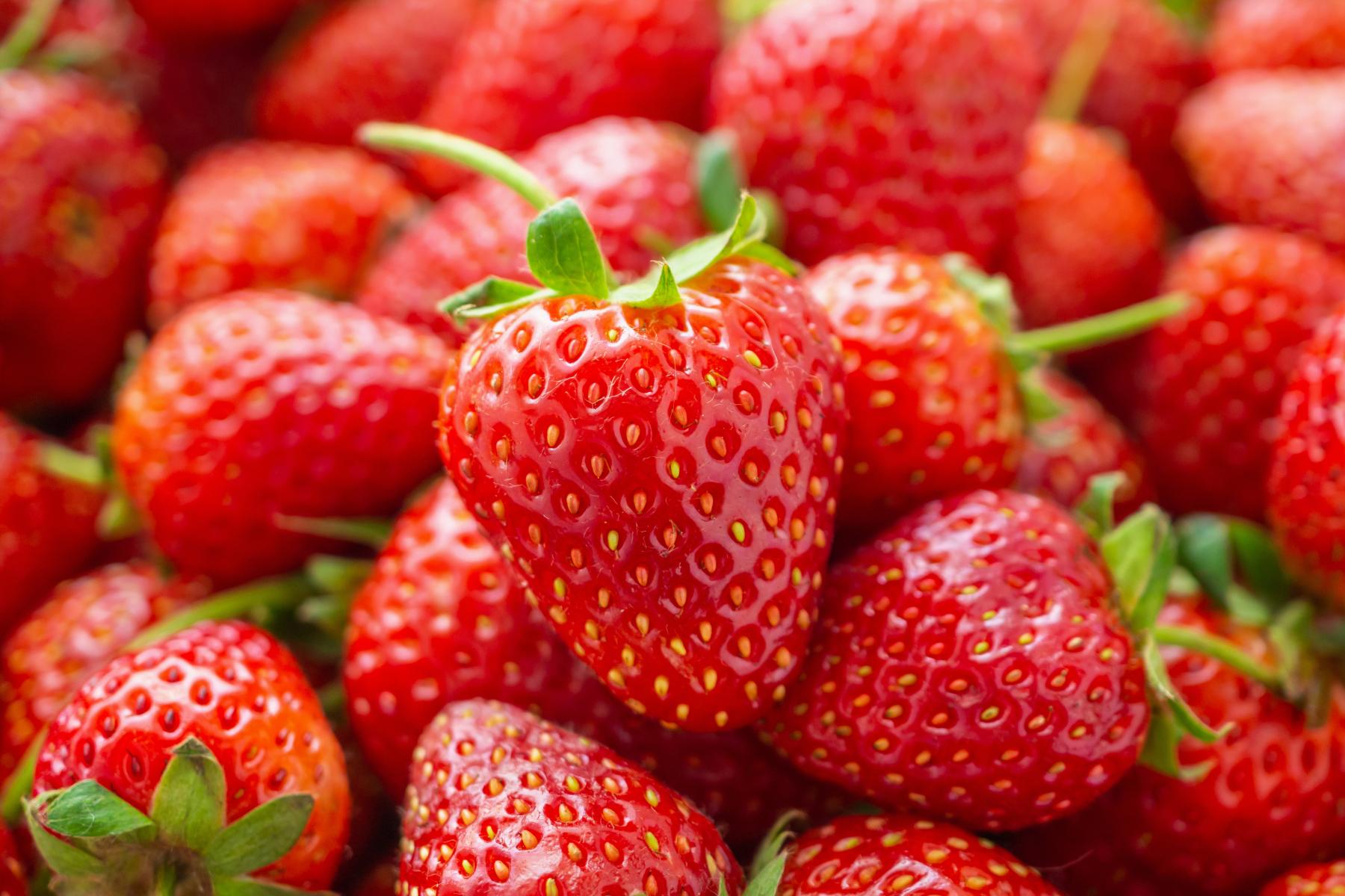 viele Erdbeeren