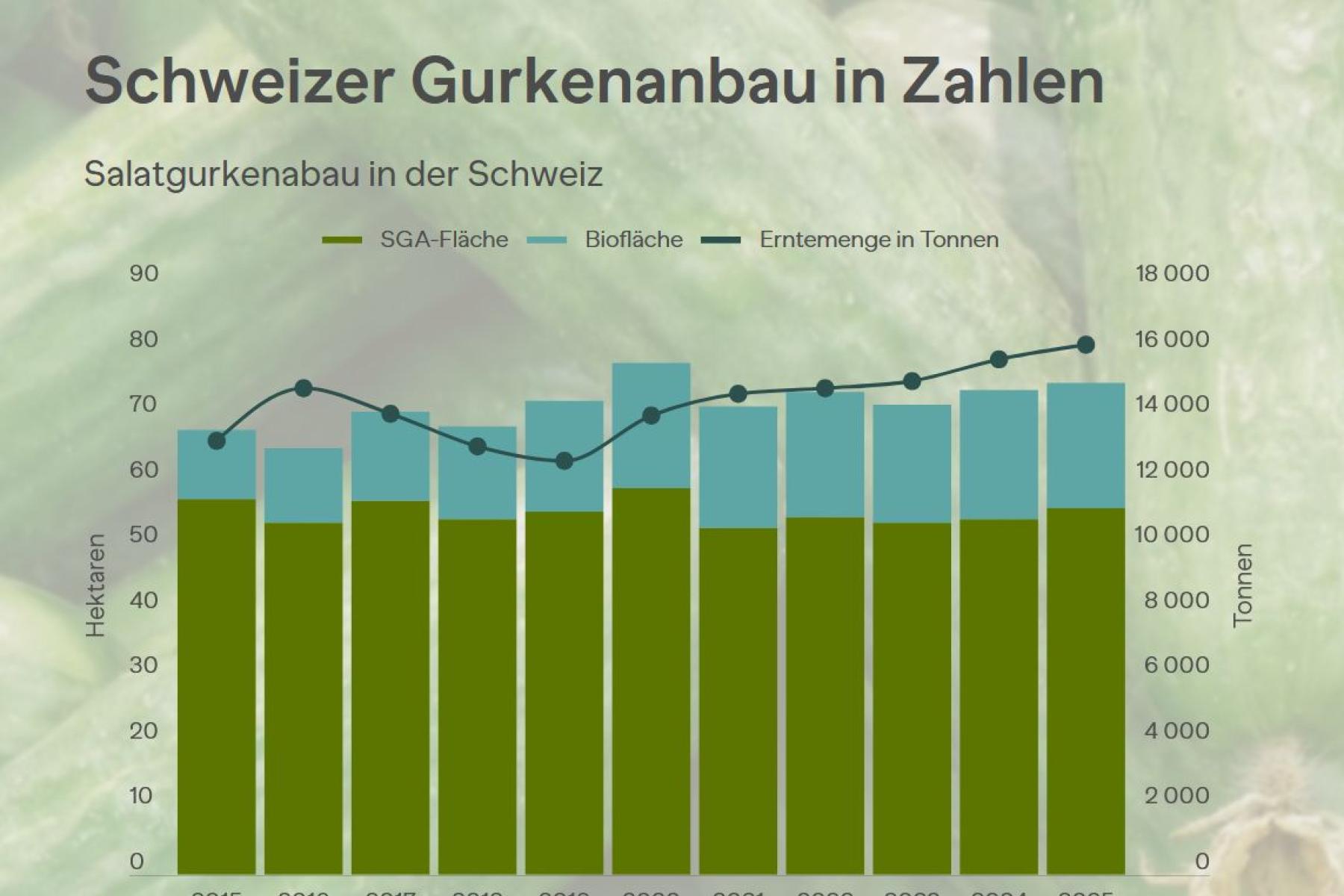 Übersicht Gurkenanbau über mehrere Jahre