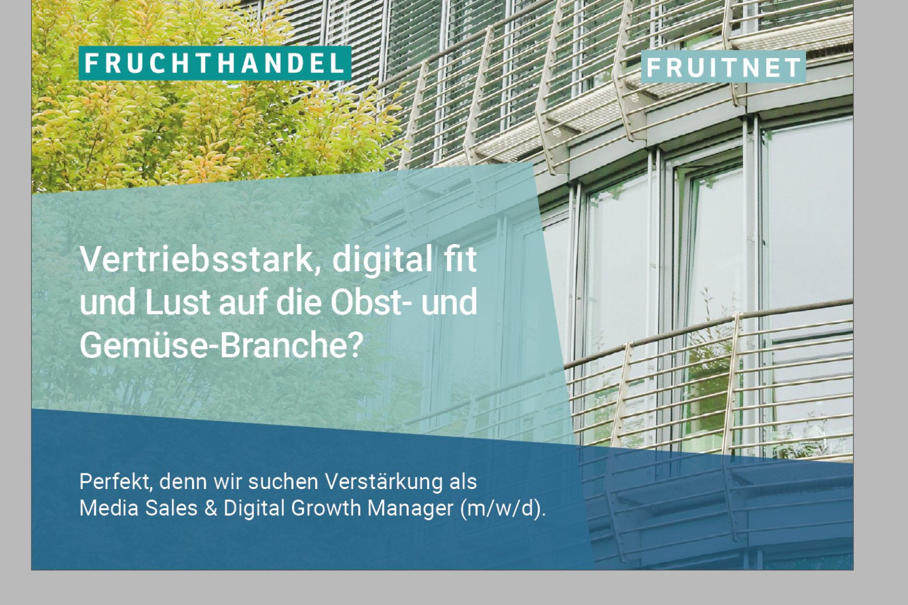 Stellenanzeige: Das Fruchthandel Magazin sucht eine:n Media Sales + Digital Growth Manager