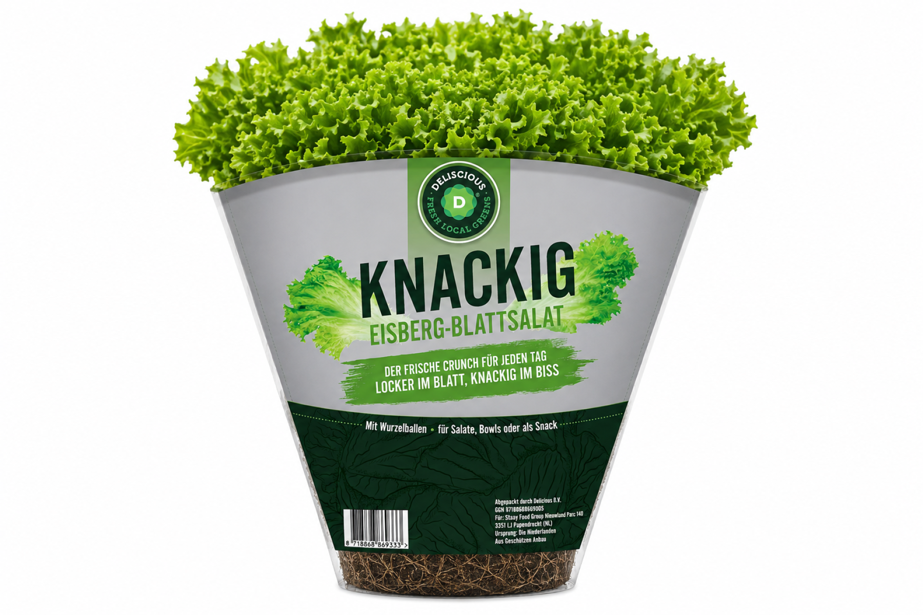 Eisbergsalat in Verpackung