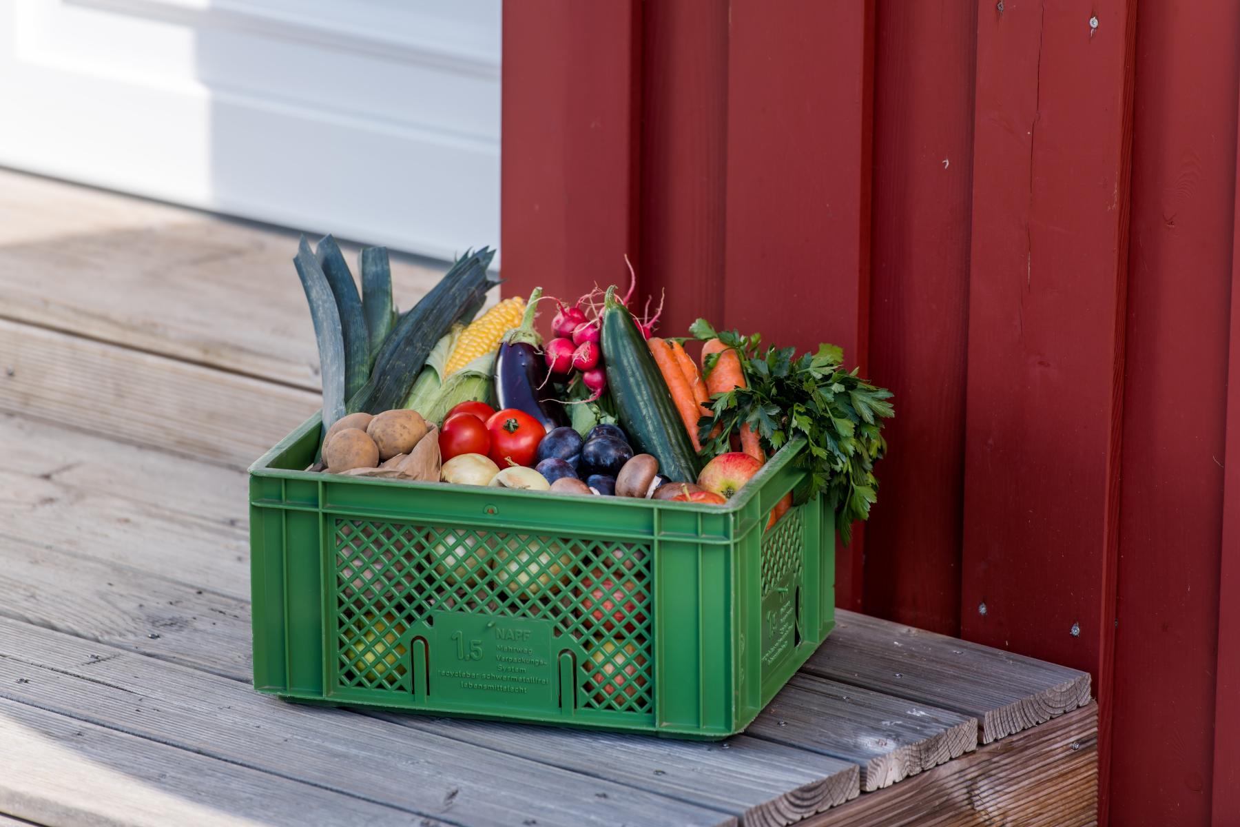 Kiste mit Obst und Gemüse