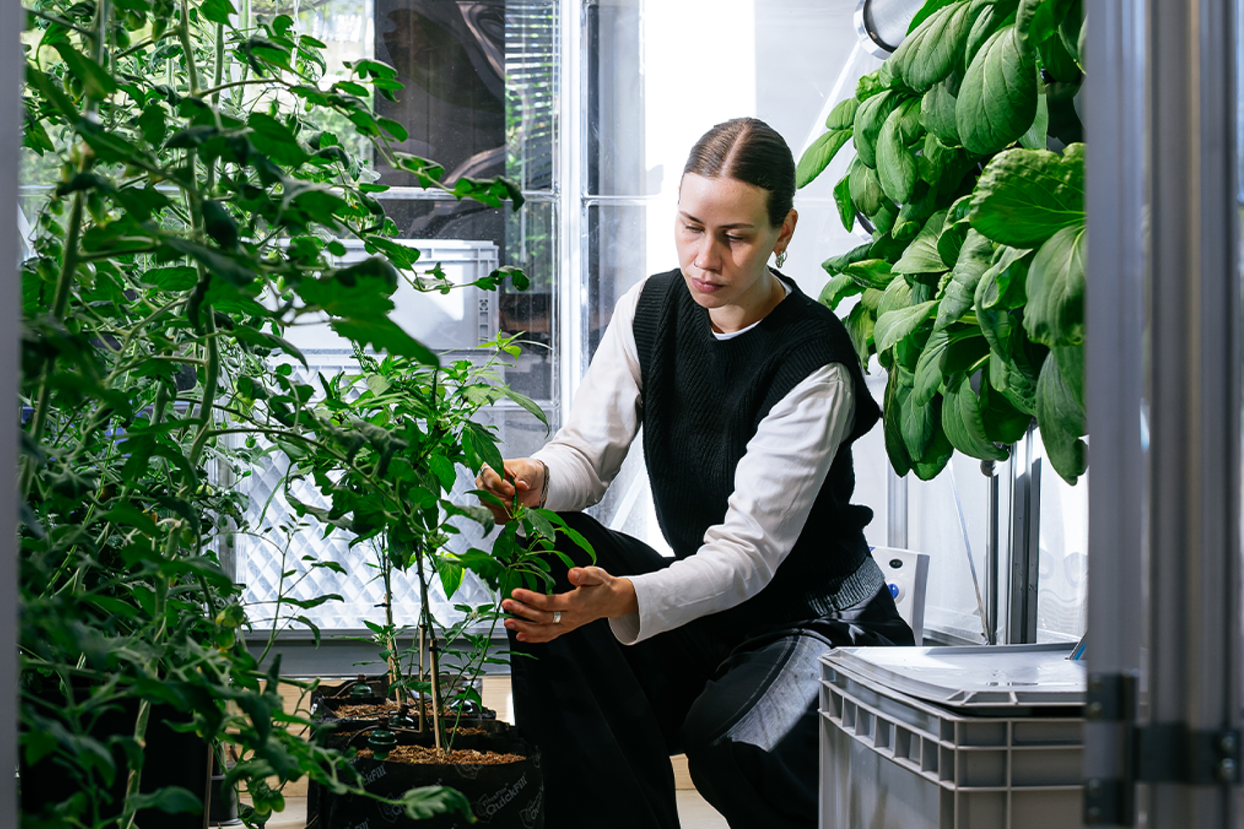 Frau kümmert sich um Pflanzen beim Projekt GreenFarmTEC