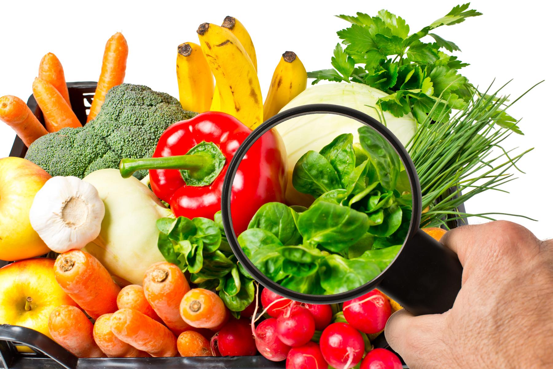 Obst und Gemüse in einer Tasche und Lupe wird drauf gehalten