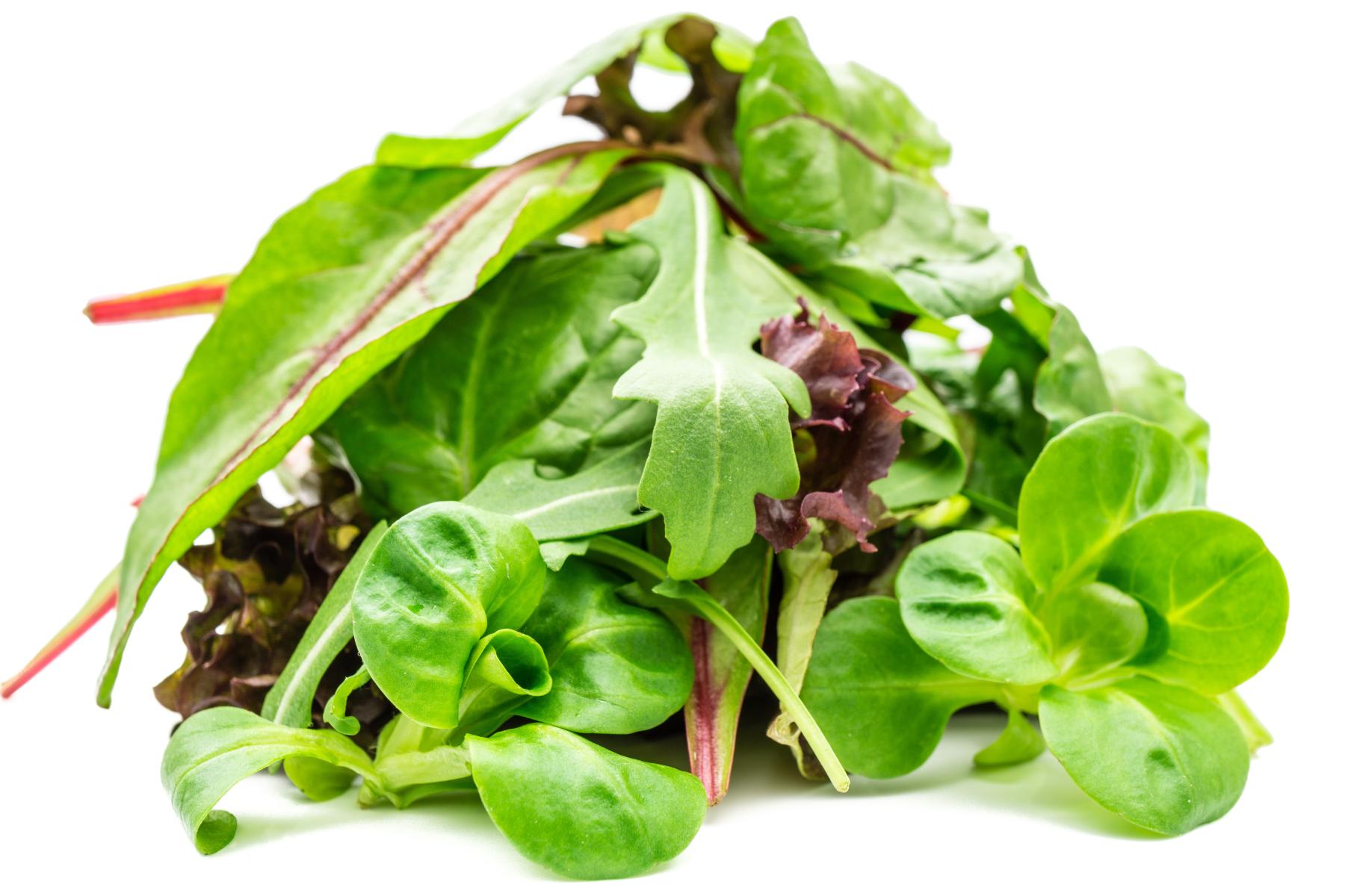 Fresh-Cut-Salat