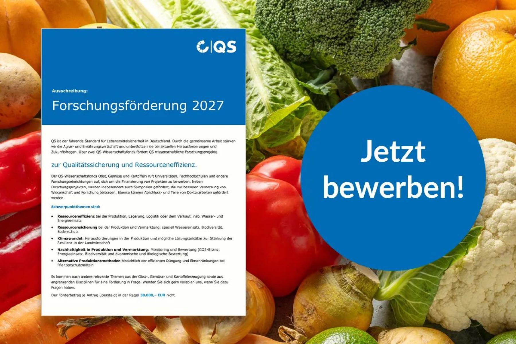Übersicht über Bewerbung für Wissenschaftsfonds