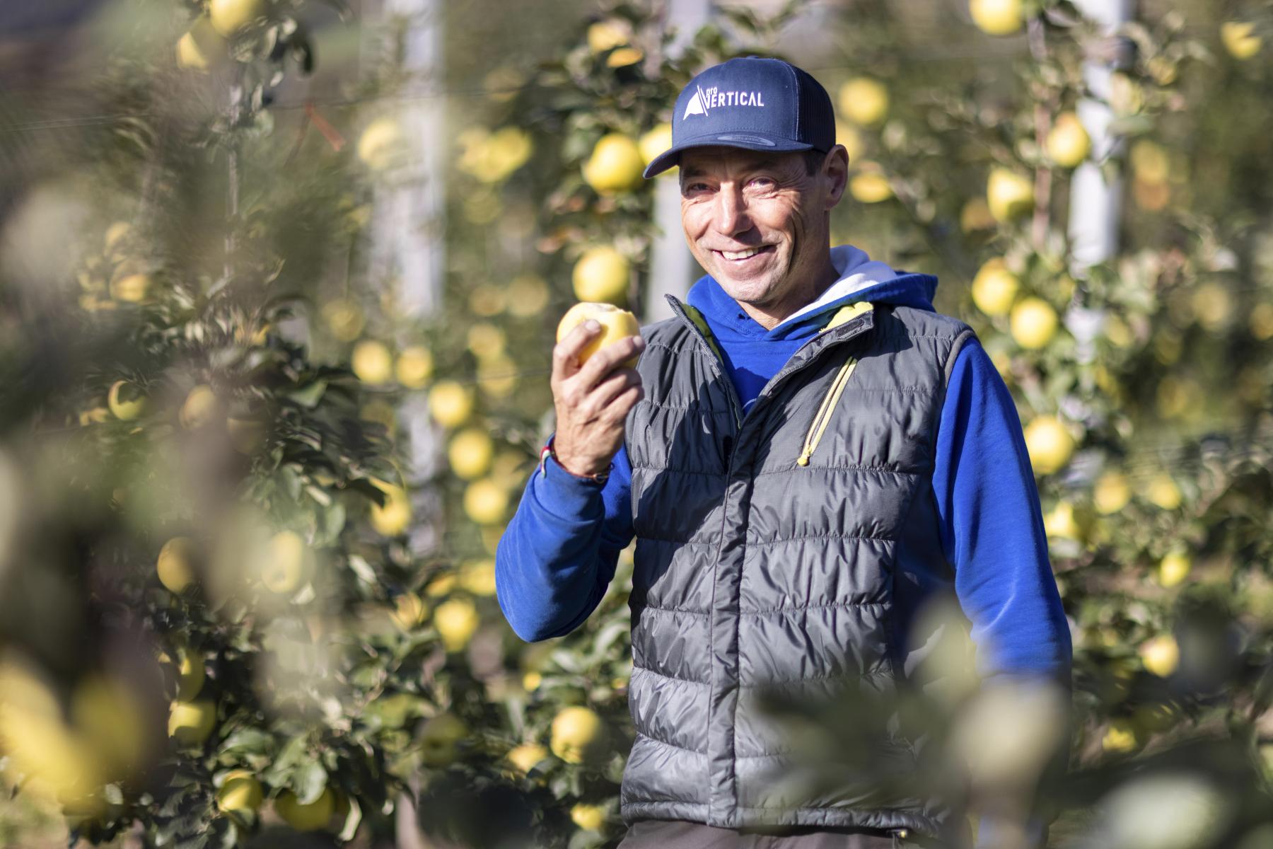 Mann steht in Plantage und hält Apfel in der Hand