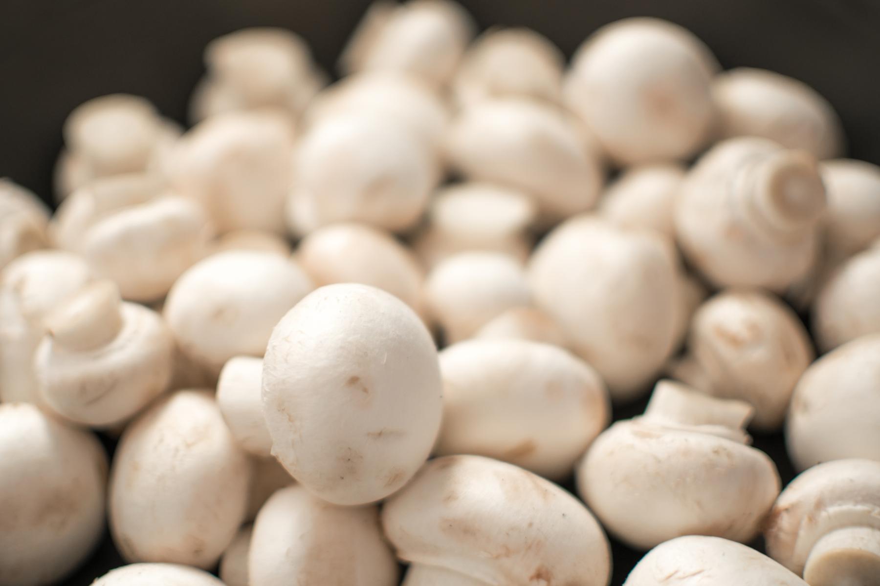 weiße Champignons