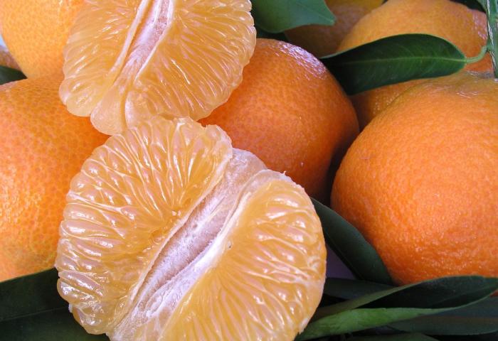 Aufgeschnittene weiche Zitrusfrucht mit glänzenden Segmenten, umgeben von ganzen Früchten und grünen Blättern