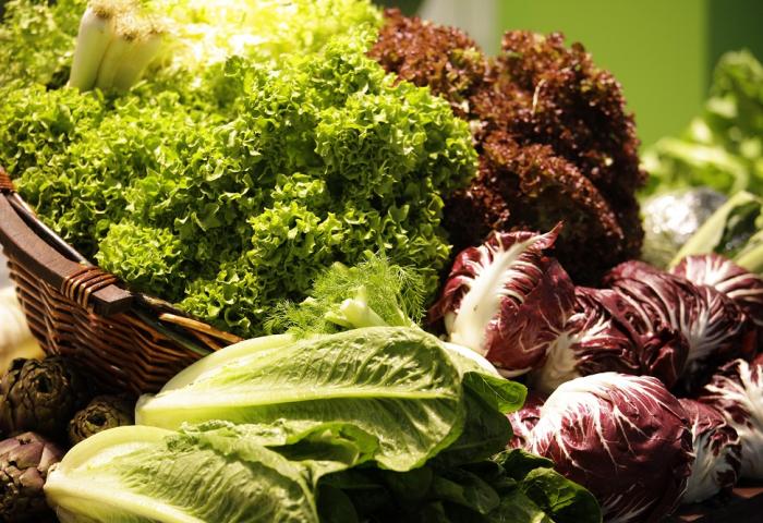 Verschiedene Salatsorten, darunter grüner Blattsalat, roter Radicchio und Romana-Salat