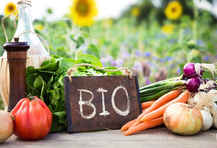 Frisches Bio-Gemüse wie Tomate, Karotten, Zwiebeln und Radieschen mit einem Schild 'BIO' auf einem Holztisch vor einem Sonnenblumenfeld