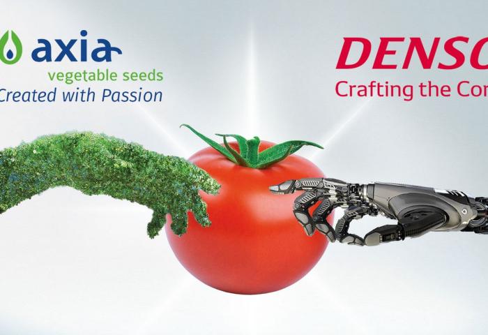 Axia Vegetable Seeds mit grünem Pflanzenarm und Slogan 'Created with Passion' trifft auf Denso mit Roboterarm und Slogan 'Crafting the Core', beide greifen eine Tomate