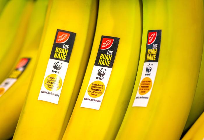 Gelbe Bananen mit Aufklebern 'Die Boah Nane' von Edeka und WWF für nachhaltiges Bananenprogramm